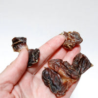Chicken Gizzard