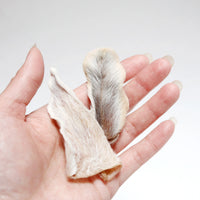 Rabbit Ears (Fur On)