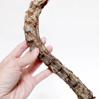 Duck Necks