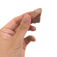 Freeze dried Beef Jerky Bites