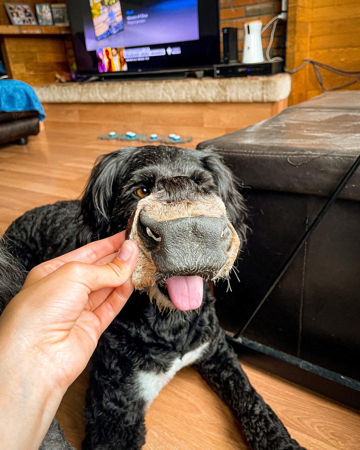 Chews
