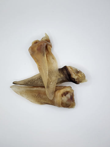 (NEW) Furless Lamb Ears