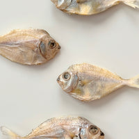 (NEW) Freeze- Dried Pony Fish