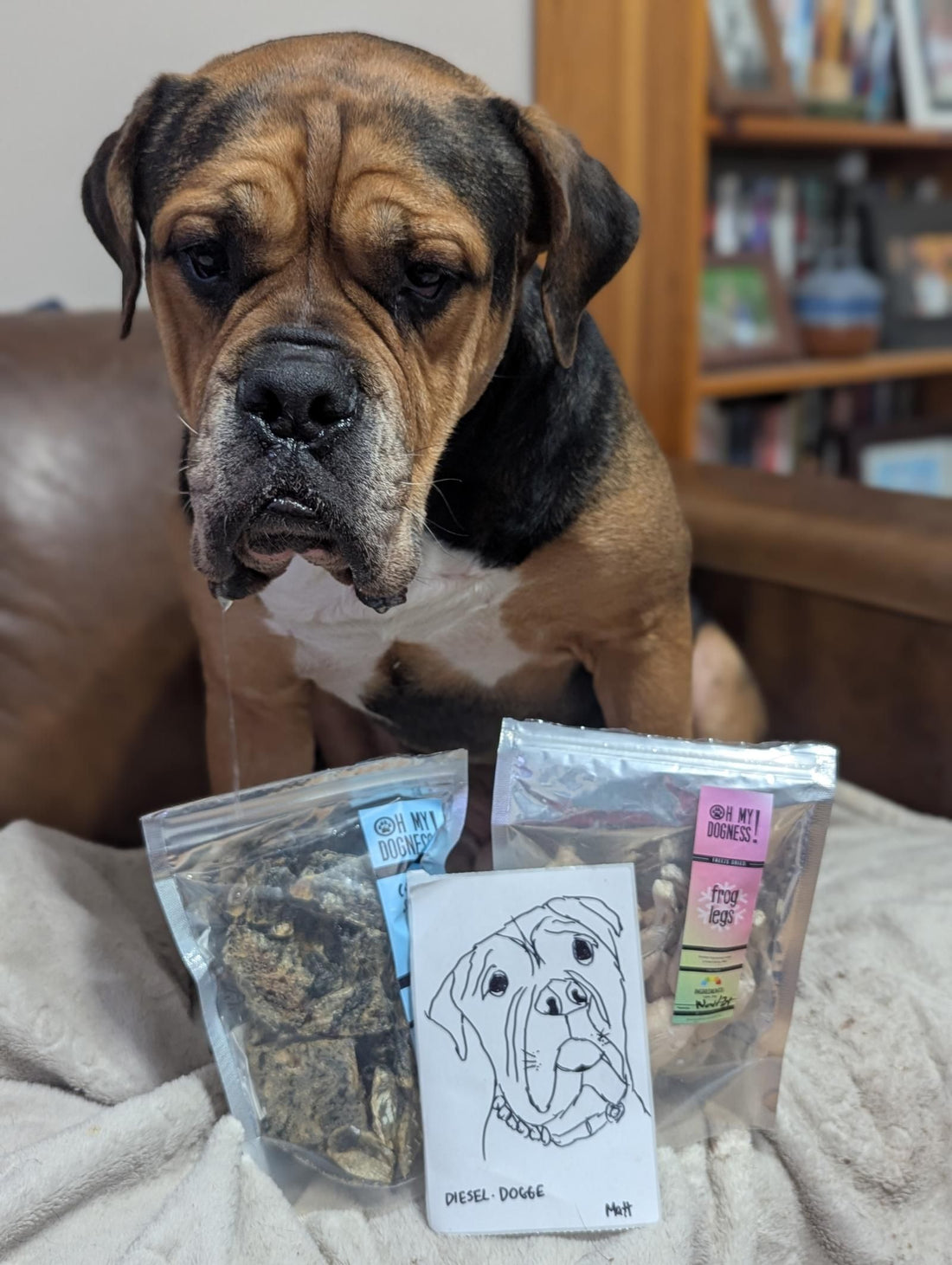 Mystery Pack BY MATTHEW