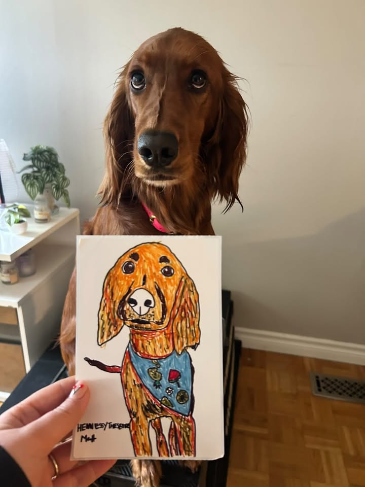 Mystery Pack BY MATTHEW