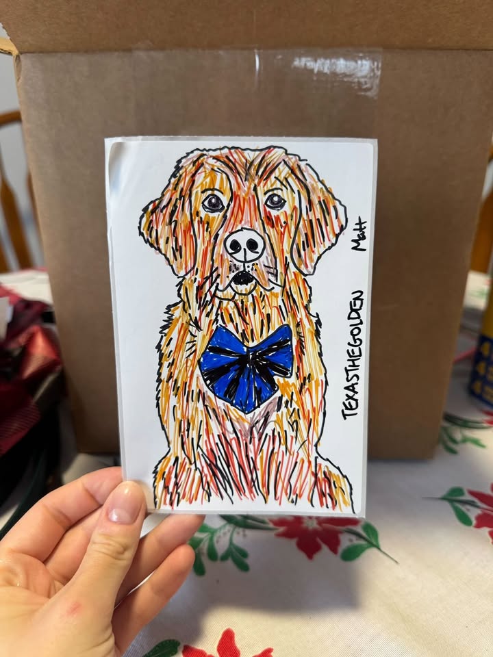 Mystery Pack BY MATTHEW