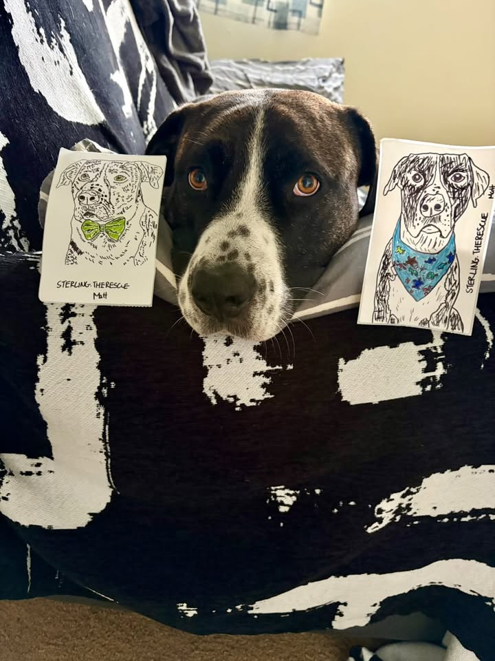 Mystery Pack BY MATTHEW
