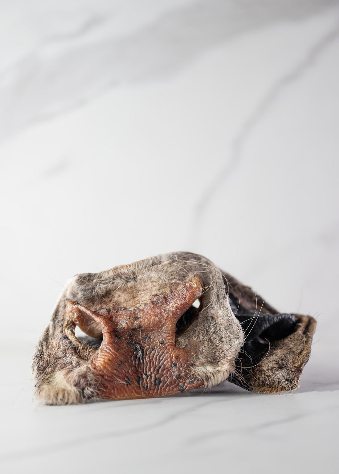 Beef Snouts
