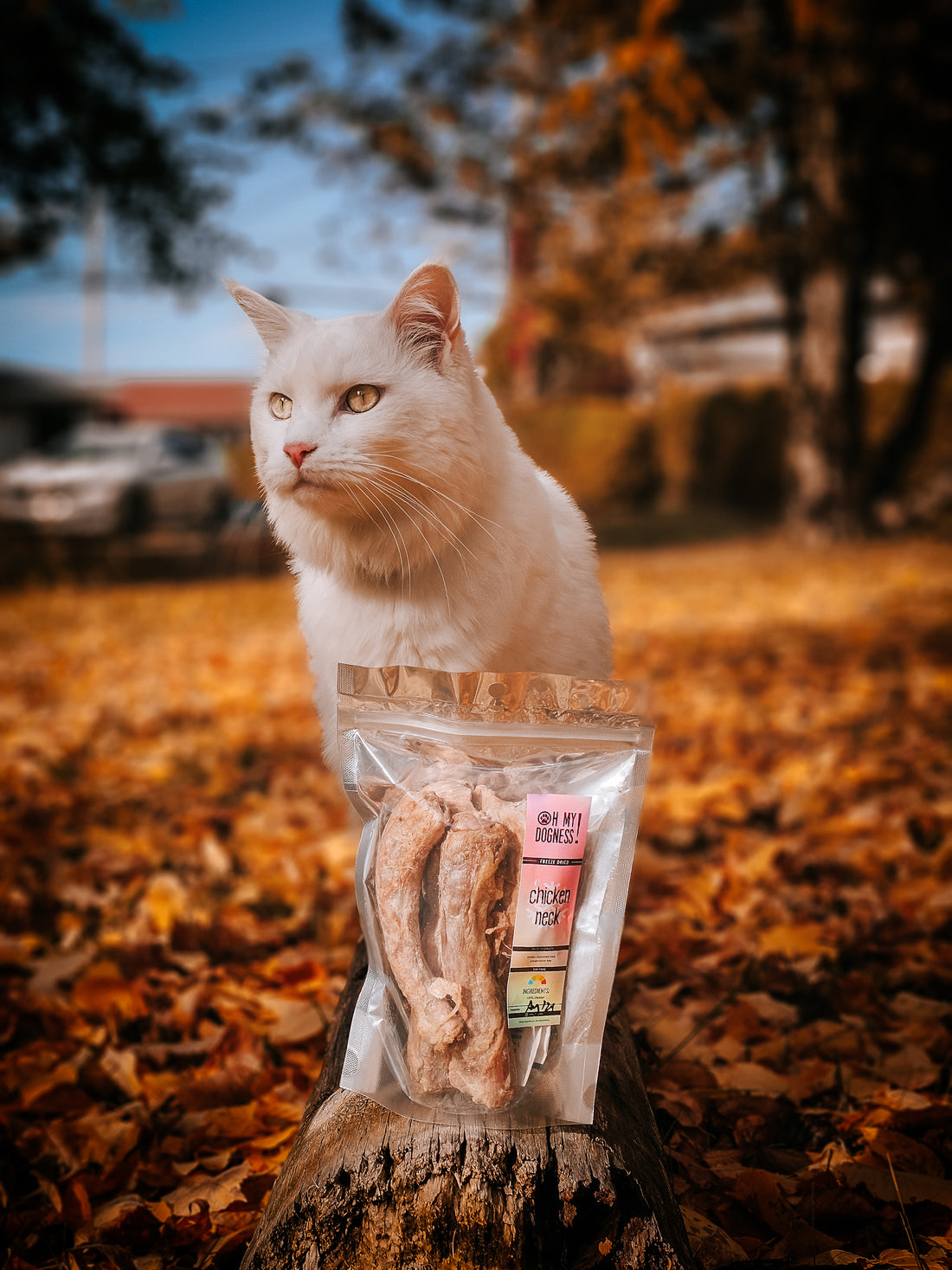 Freeze Dried Chicken Necks