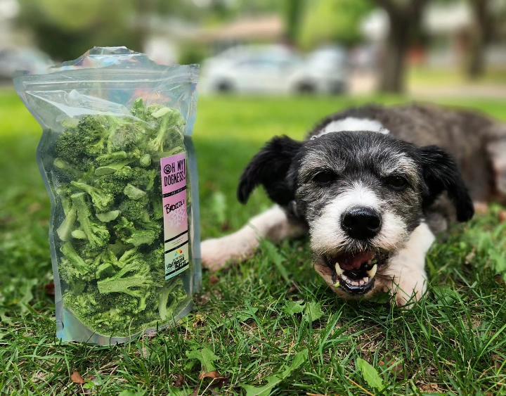 Freeze-dried Broccoli