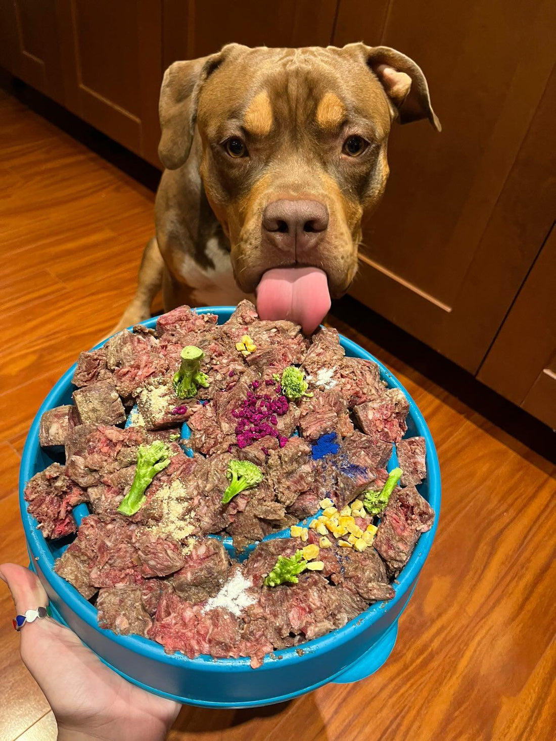 Freeze-dried Red Dragon Fruit Toppers/chunks