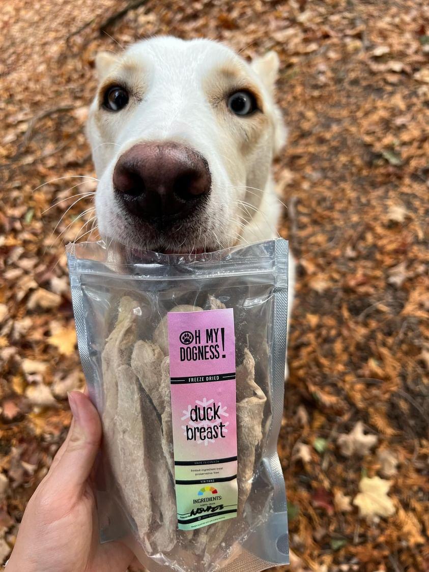 Freeze Dried Duck Breast Strips