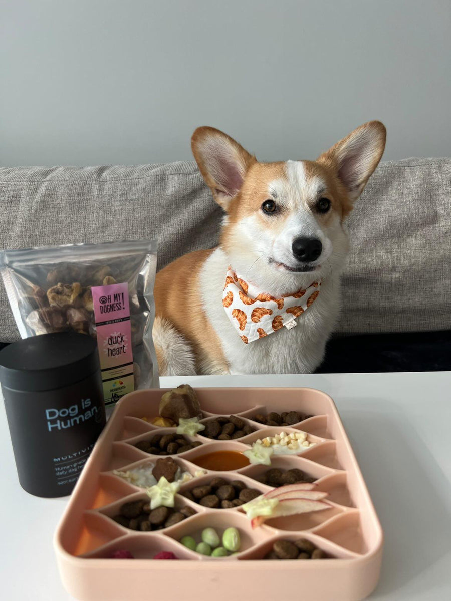 Freeze Dried Duck Hearts