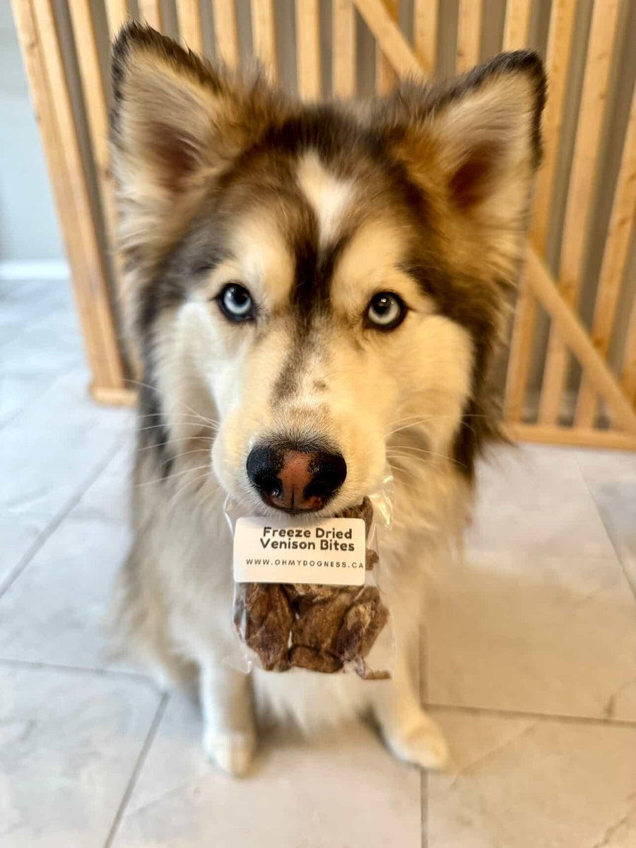 Freeze Dried Venison Bites