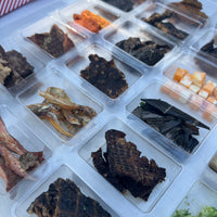 PRE-ORDER - Advent Calendar (2025)