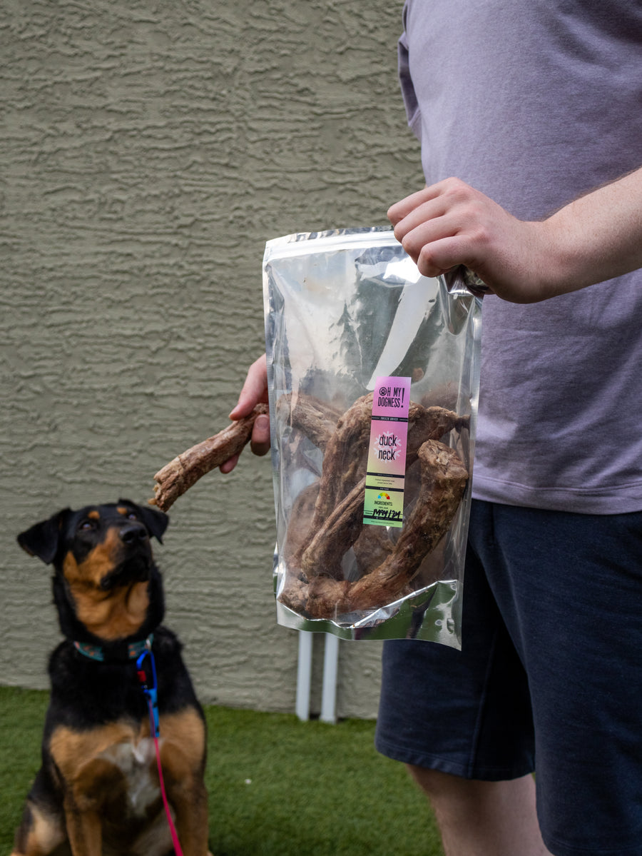 Freeze Dried Duck Necks