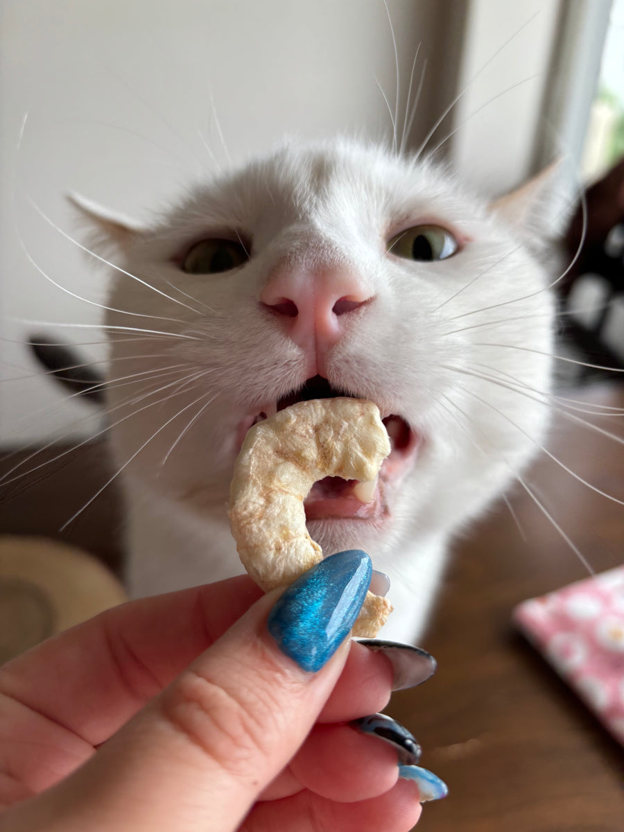 Freeze Dried Shrimp