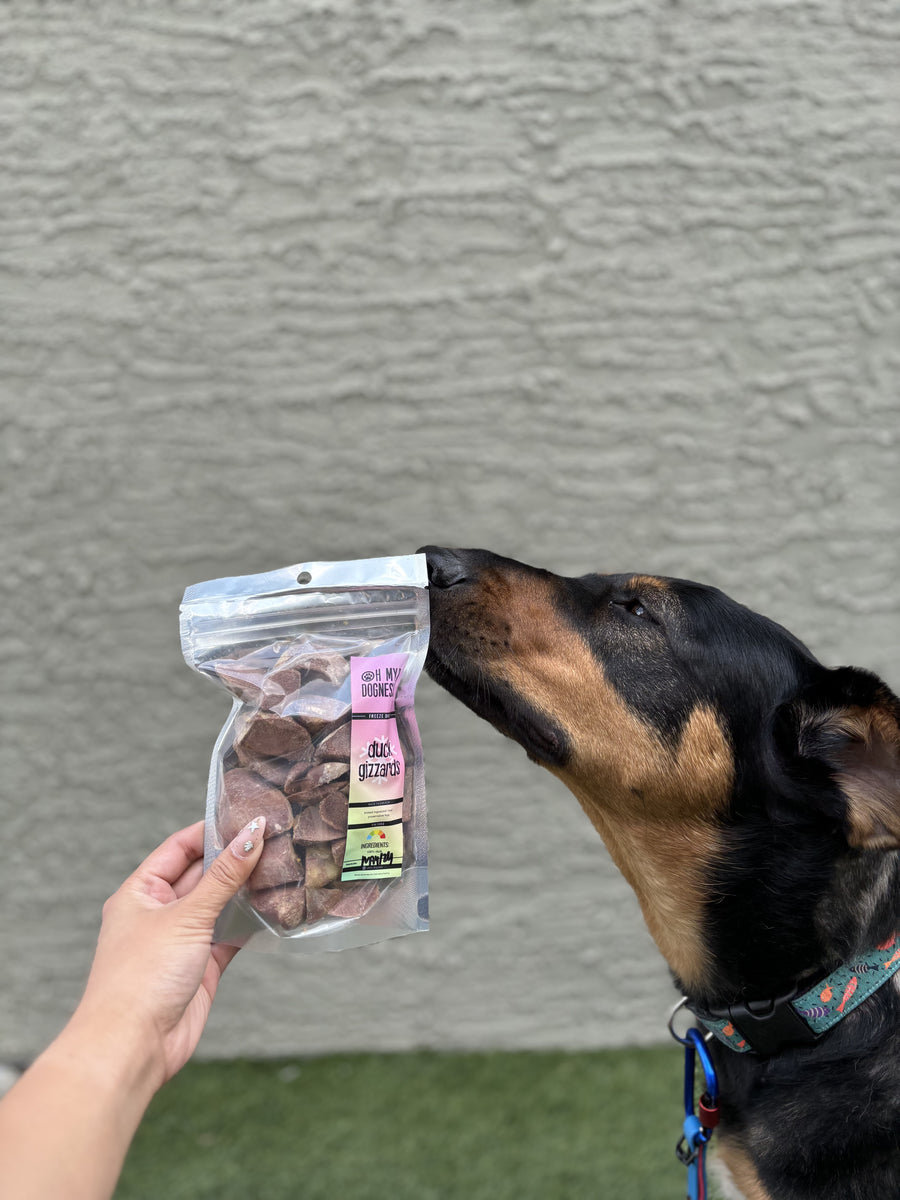 Freeze Dried Duck Gizzards (Limited Release)