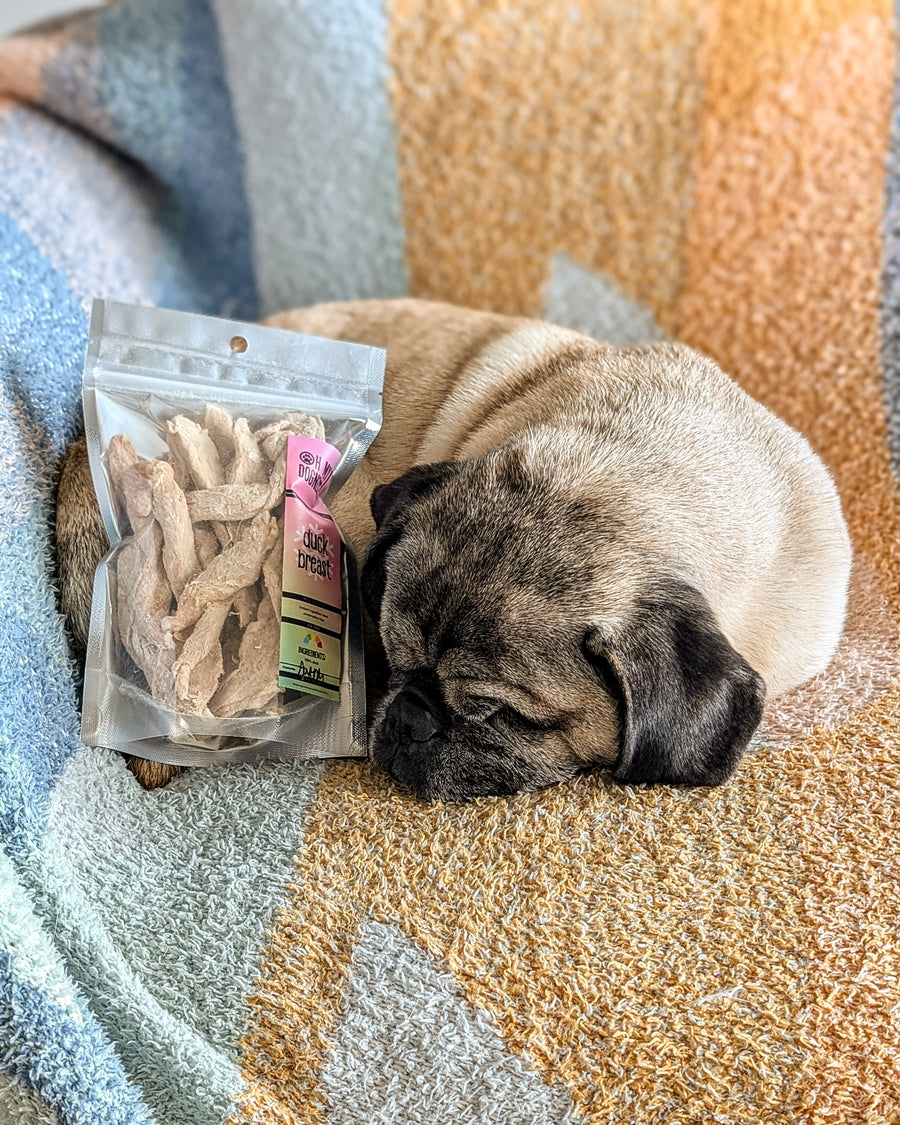 Freeze Dried Duck Breast Strips