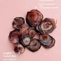 (NEW) Furrytales - Duck Cucumber Chips
