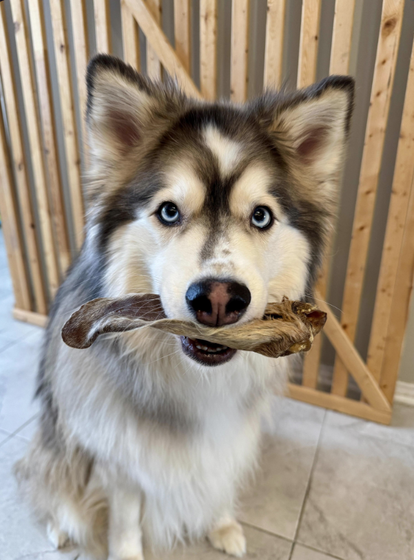 Lamb Ears (Fur On)