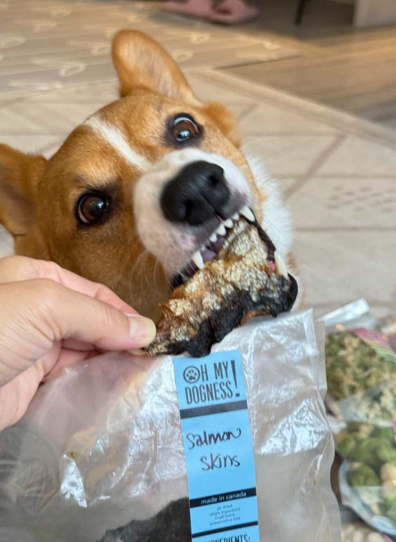 Salmon Skin Rolls/ Flats