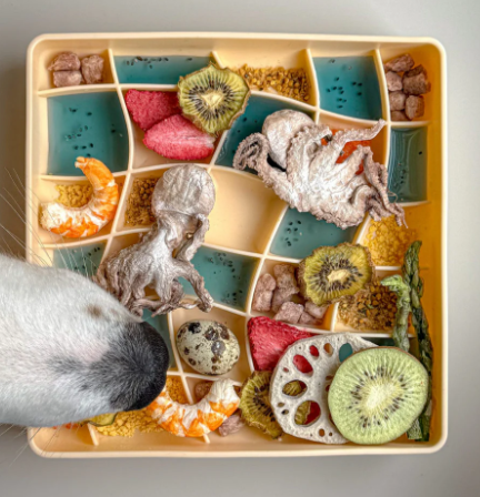 Olliebgood - wavies slow feeder bowl | clementine