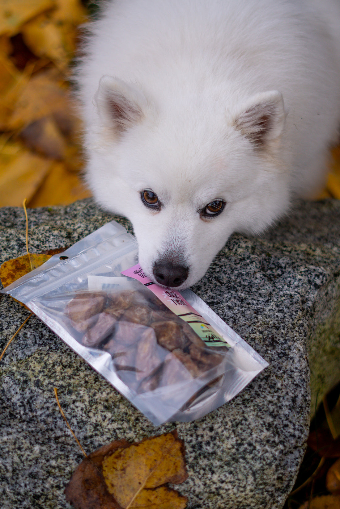 Freeze Dried Duck Hearts