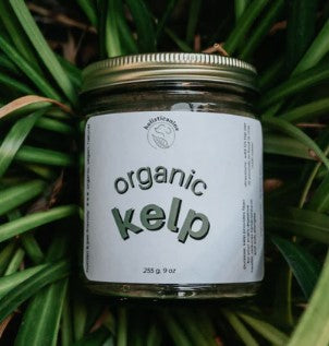 NEW - Holisticanine - Organic Icelandic Kelp | Skin + Coat, Dental, Allergy Supplement