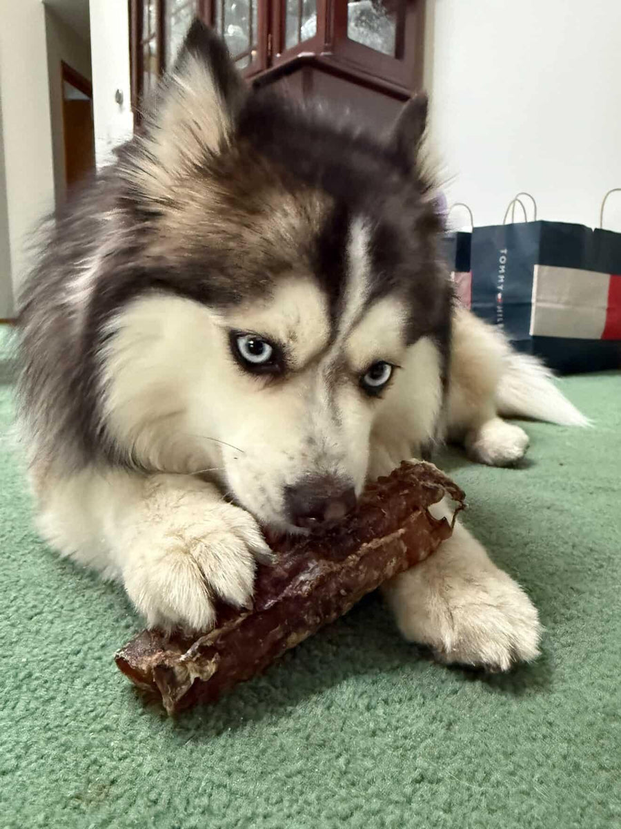 Beef Trachea