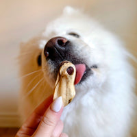 Freeze Dried Green Lipped Mussels