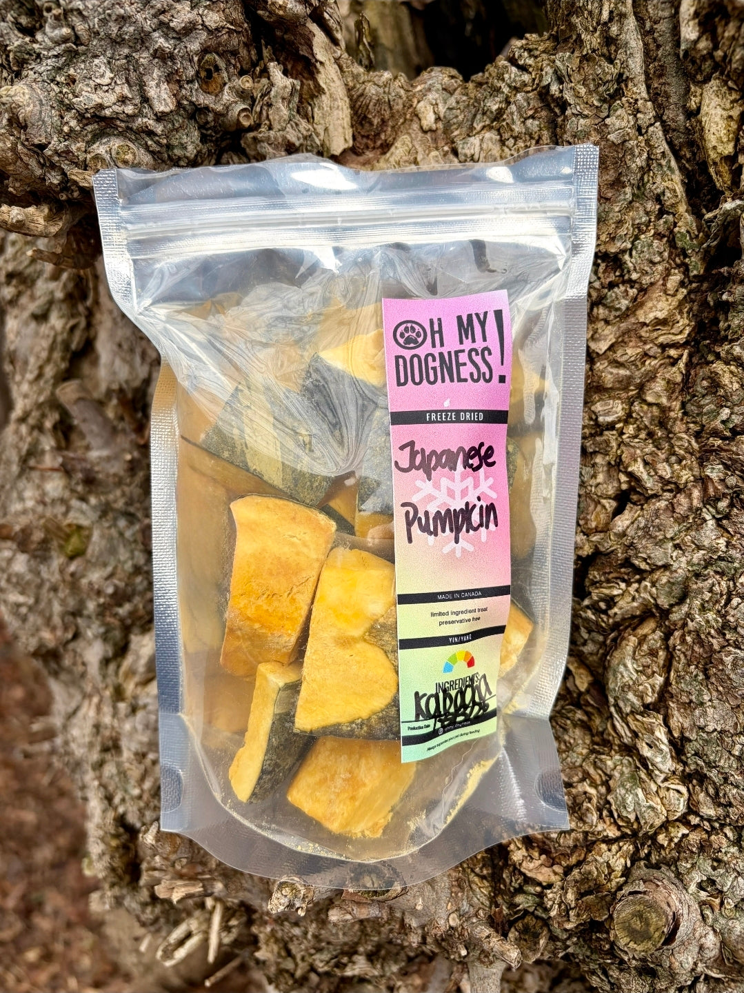 Freeze-dried Japanese Pumpkin