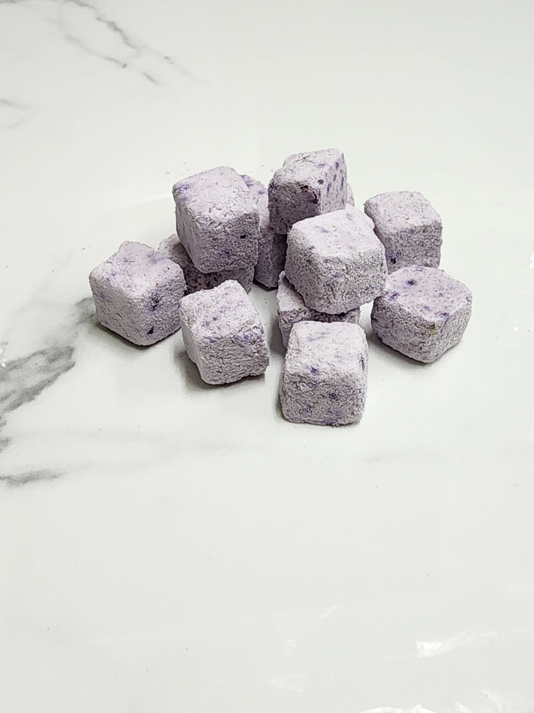 Freeze Dried Blueberry Dairy Bites