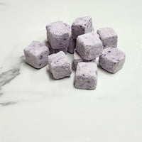 Freeze Dried Blueberry Dairy Bites