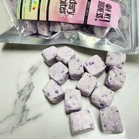 Freeze Dried Blueberry Dairy Bites