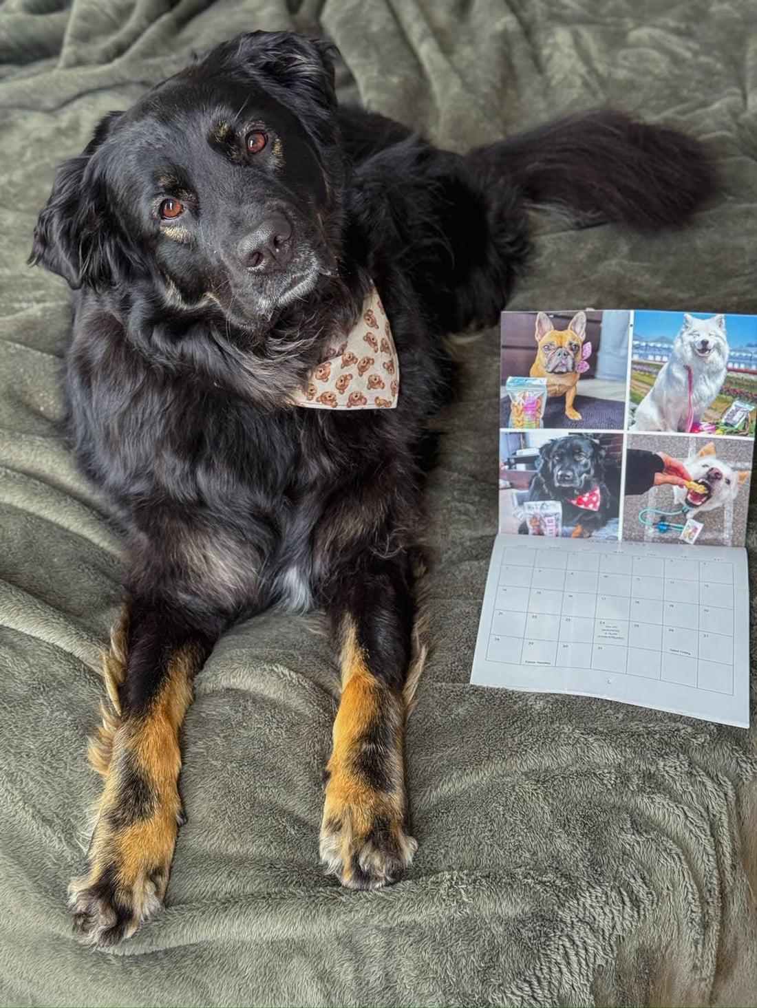 2026-2027 OMD Fundraising Calendar