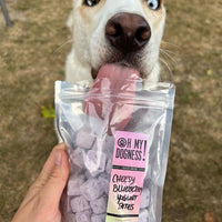 Freeze Dried Blueberry Dairy Bites