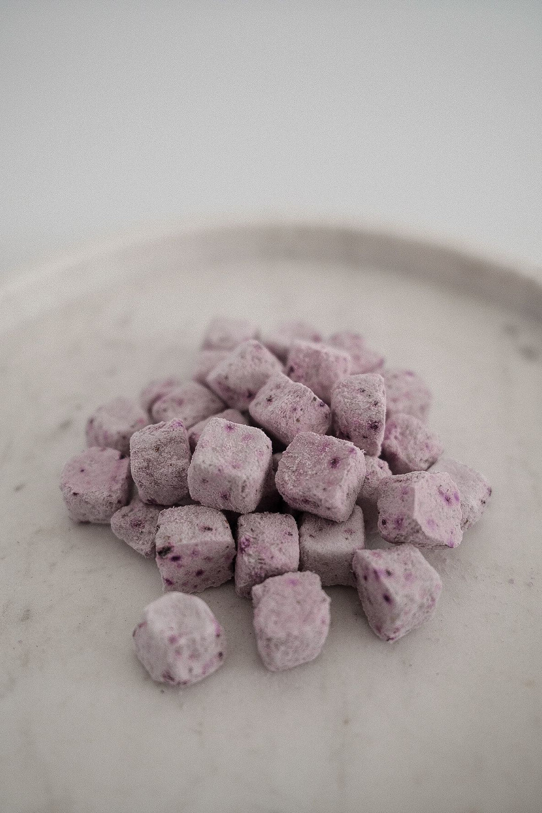 Freeze Dried Blueberry Dairy Bites