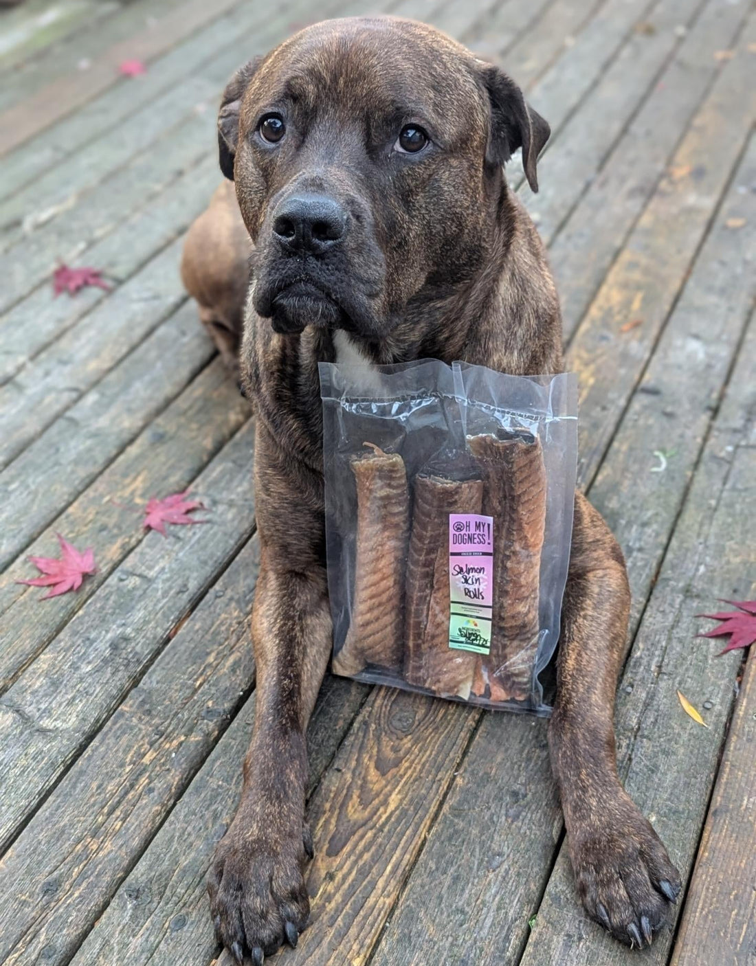 (Limited Release) Freeze Dried Salmon Skin Rolls (XL)