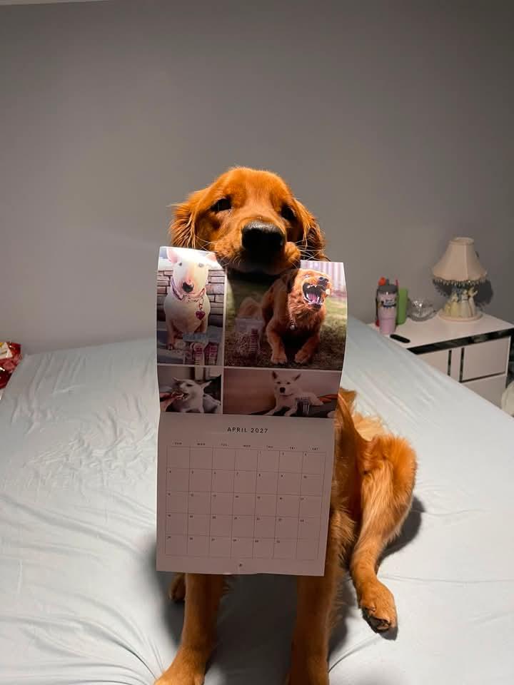 2026-2027 OMD Fundraising Calendar