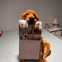 2026-2027 OMD Fundraising Calendar