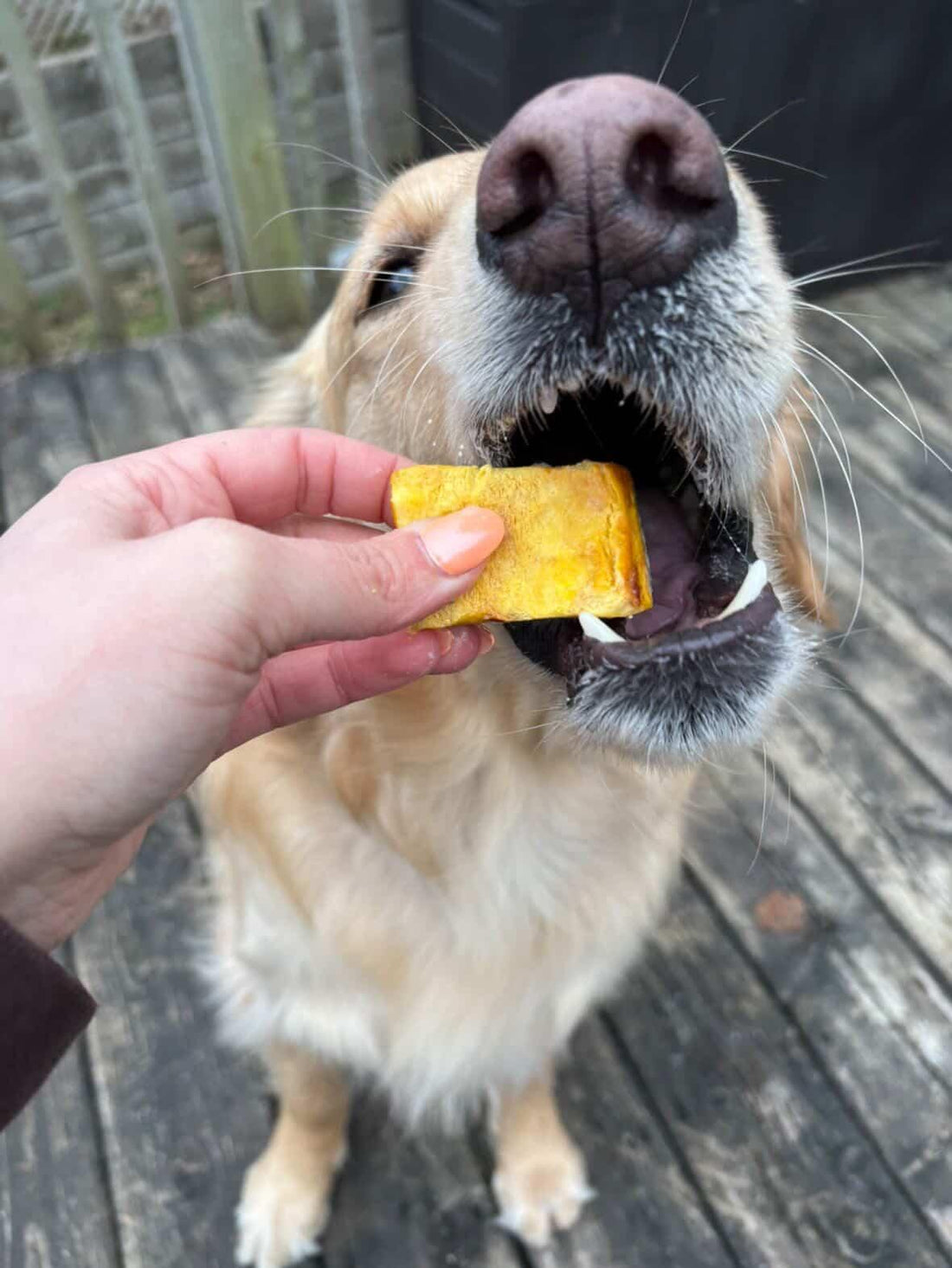Freeze-dried Japanese Pumpkin