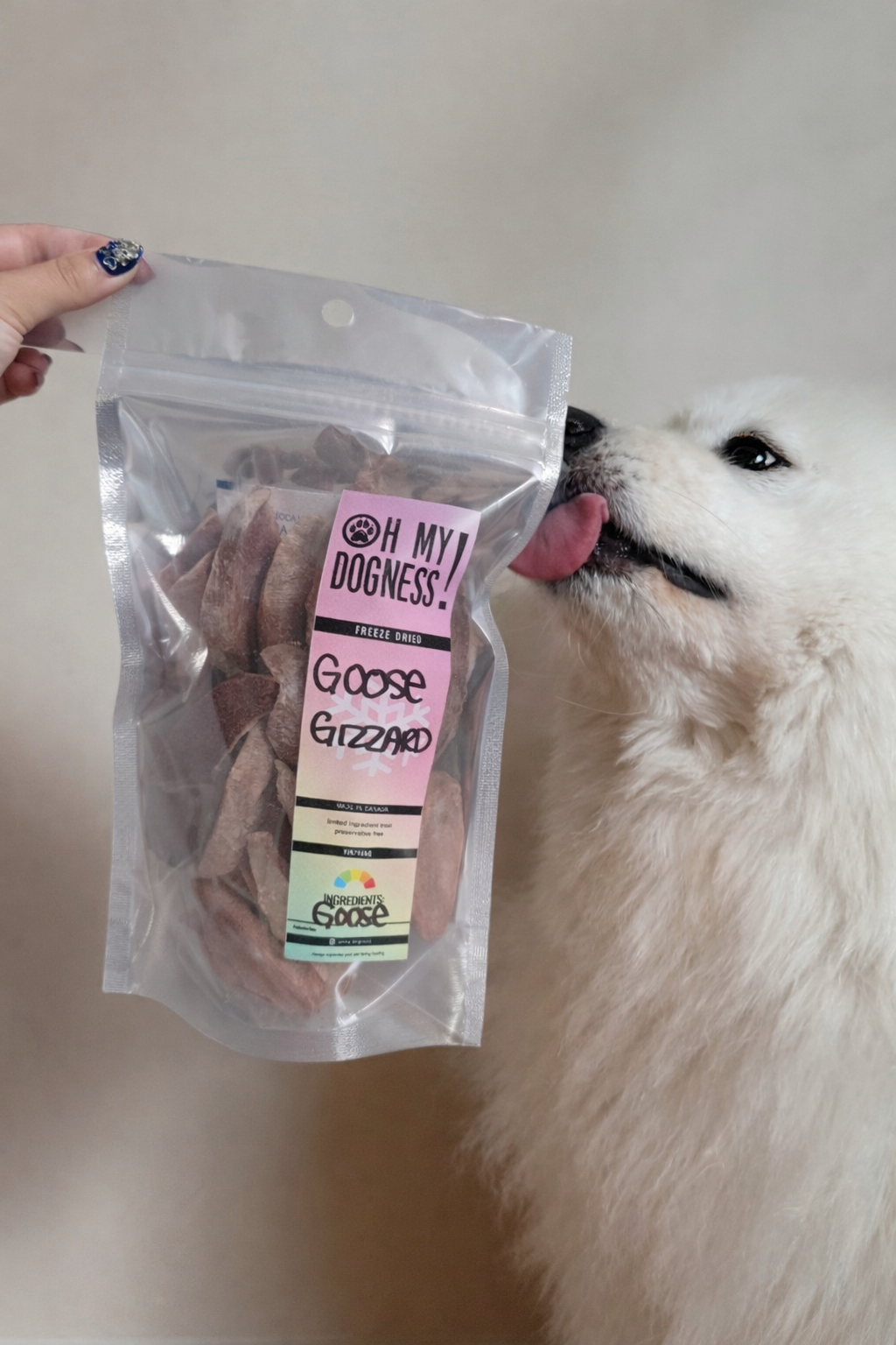 (SPECIAL RELEASE) Freeze Dried Goose Gizzards