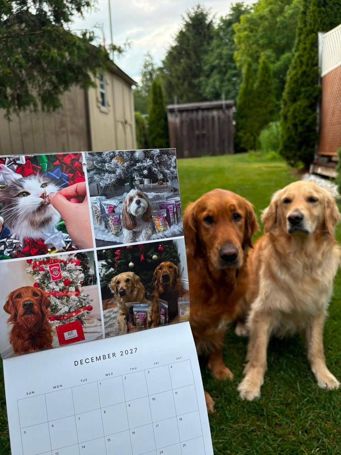 2026-2027 OMD Fundraising Calendar