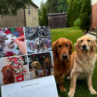 2026-2027 OMD Fundraising Calendar