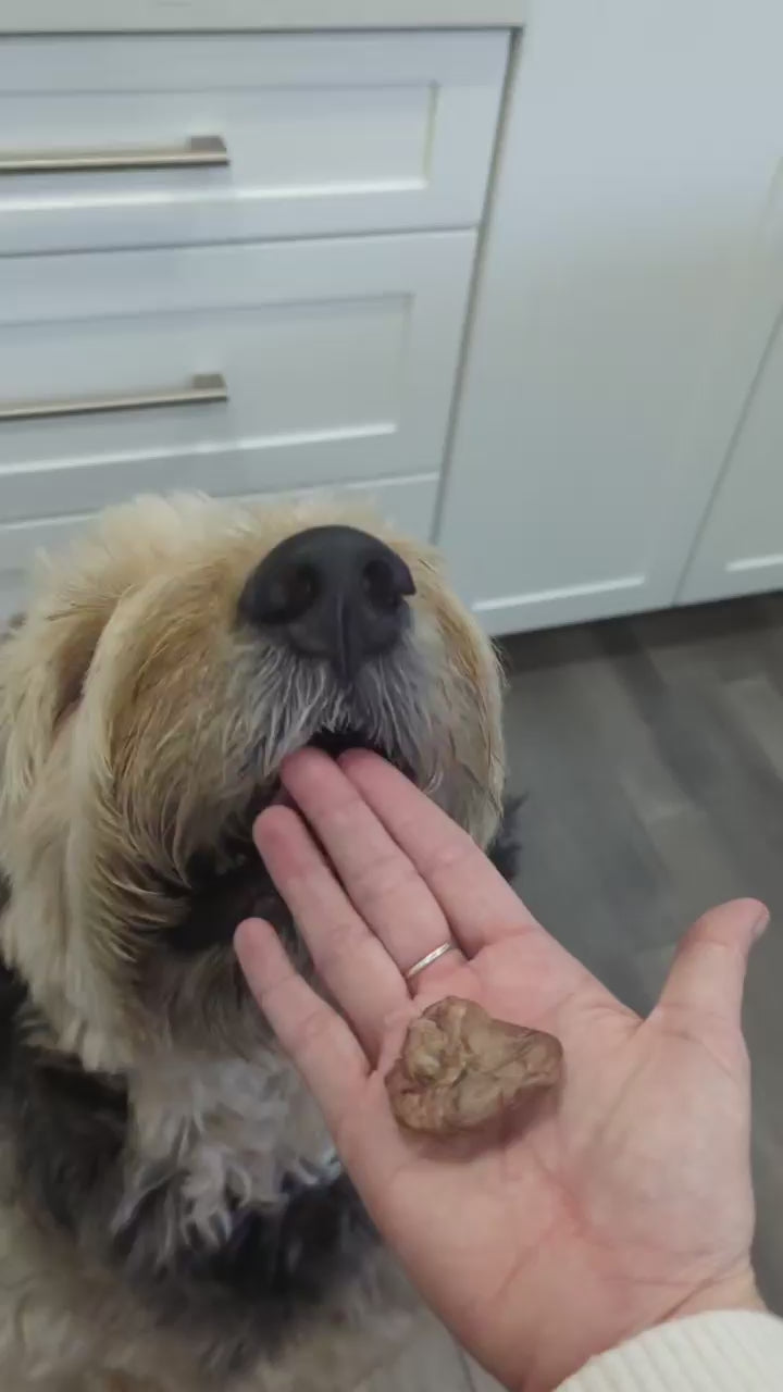 Freeze Dried Duck Hearts