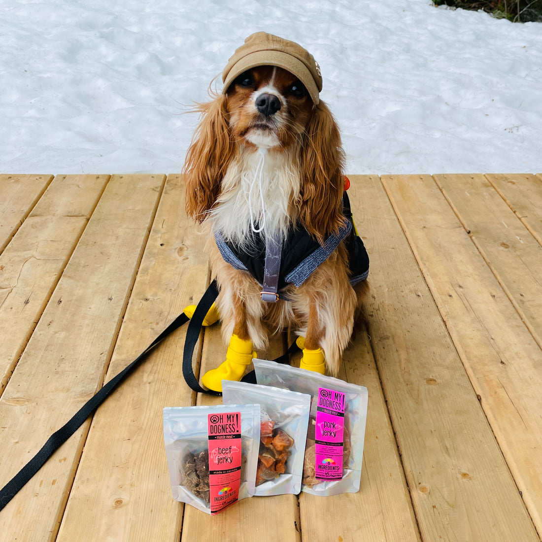 Angus Beef Jerky Bites