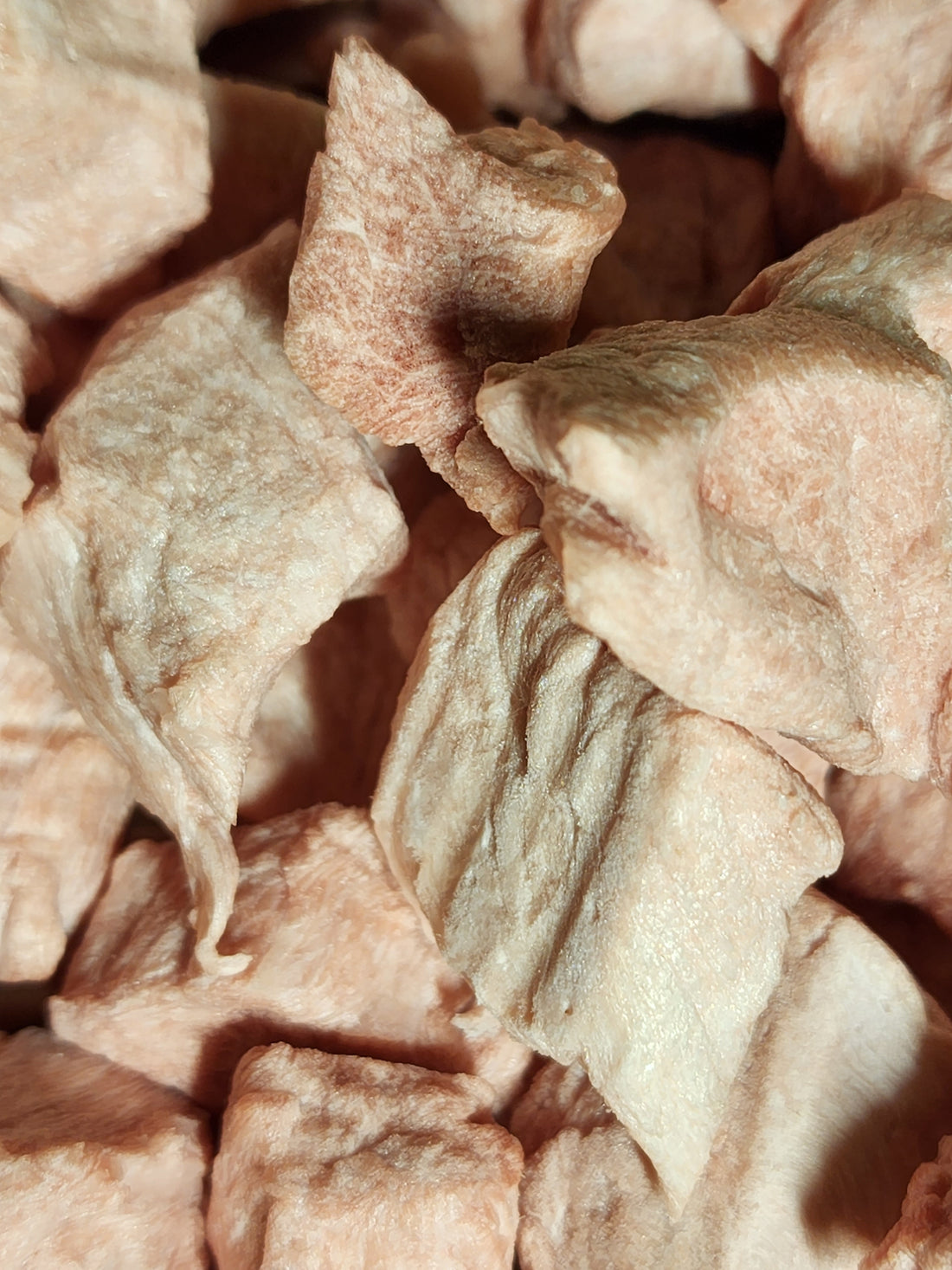 Freeze Dried Pork Tenderloin