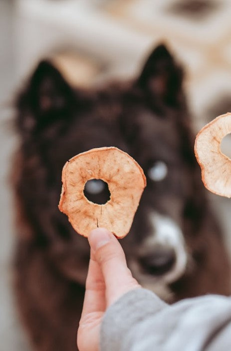 Apple Ring Slices