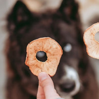 Apple Ring Slices